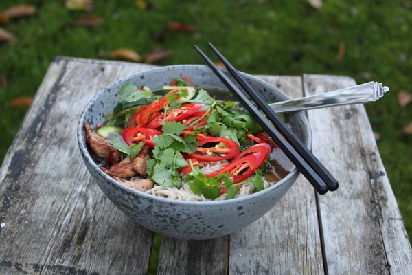 Nem ramen – Kinesisk suppe med kylling og sprøde grønsager