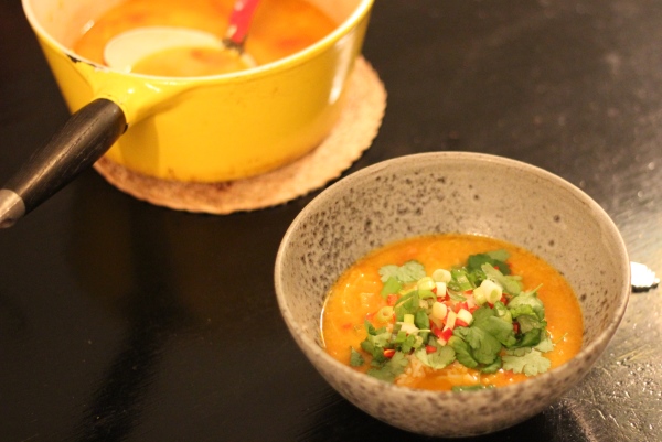 Mulligatawny suppe – Indisk karrysuppe med kokosmælk