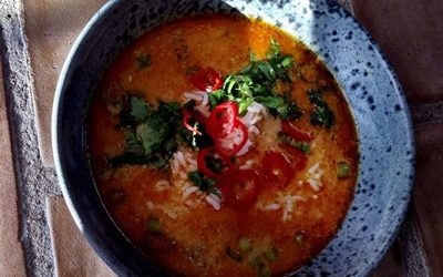 Mulligatawny – Indisk karrysuppe med fløde og yoghurt