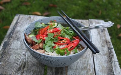 Nem ramen – Kinesisk suppe med kylling og sprøde grønsager