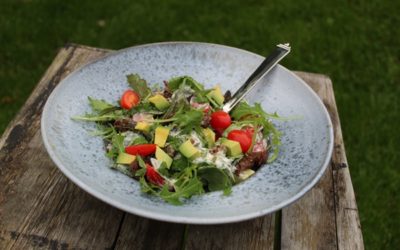 Spicy salat med avocado og kalvekød