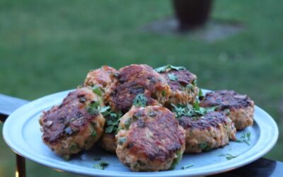 Fish cakes – Tod Mun Pla – Thai fiskefrikadeller
